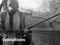 Art-Exhibitions