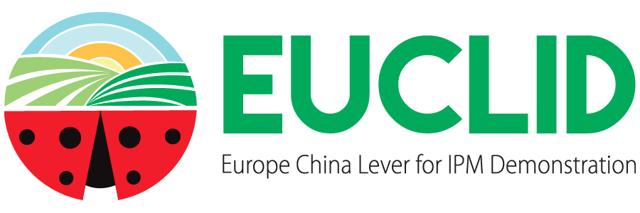 Euclid Logo Def