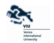 Logo VIU