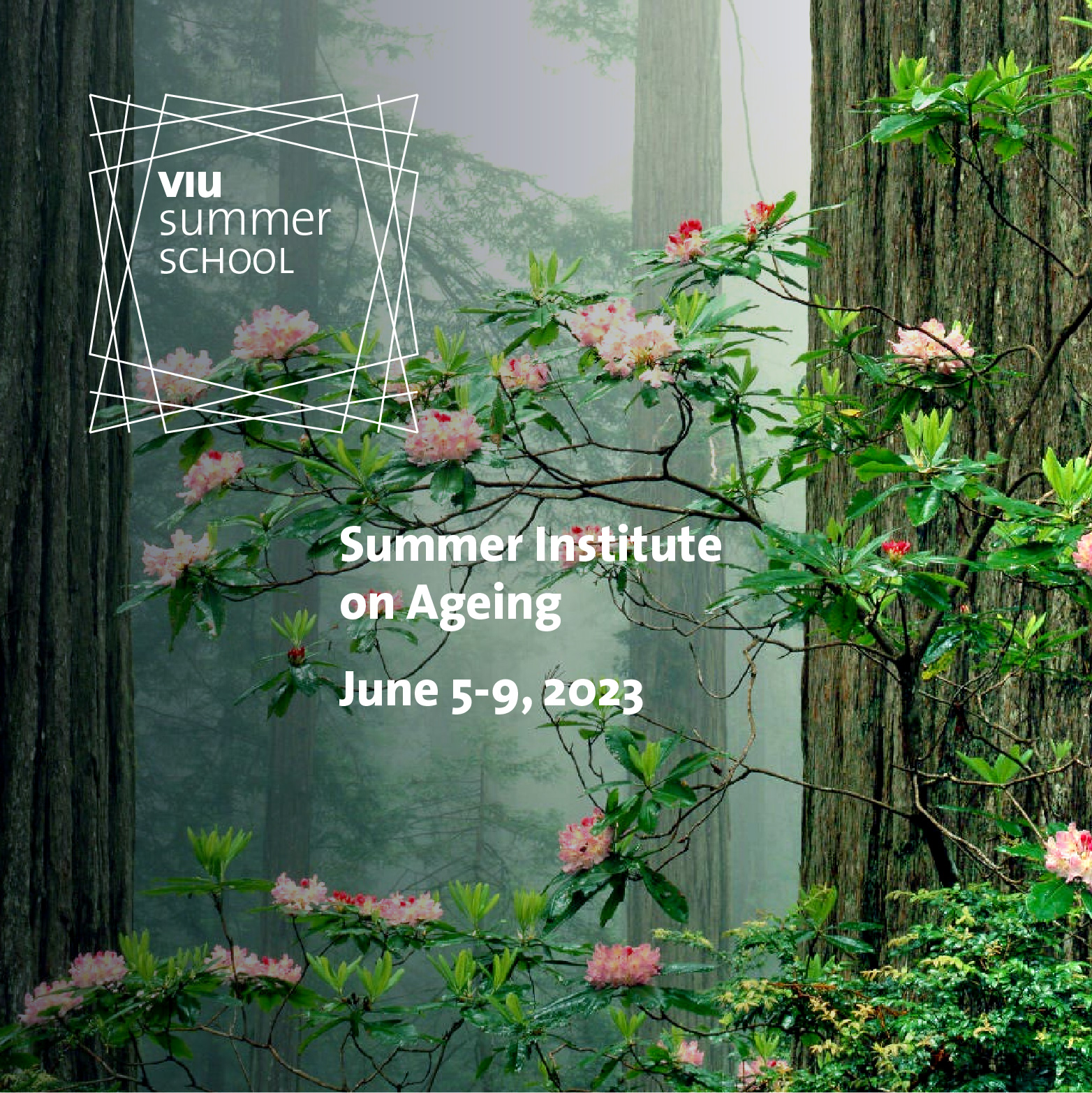 VIU Summer School | Summer Institute on Ageing | June 5-7, 2023