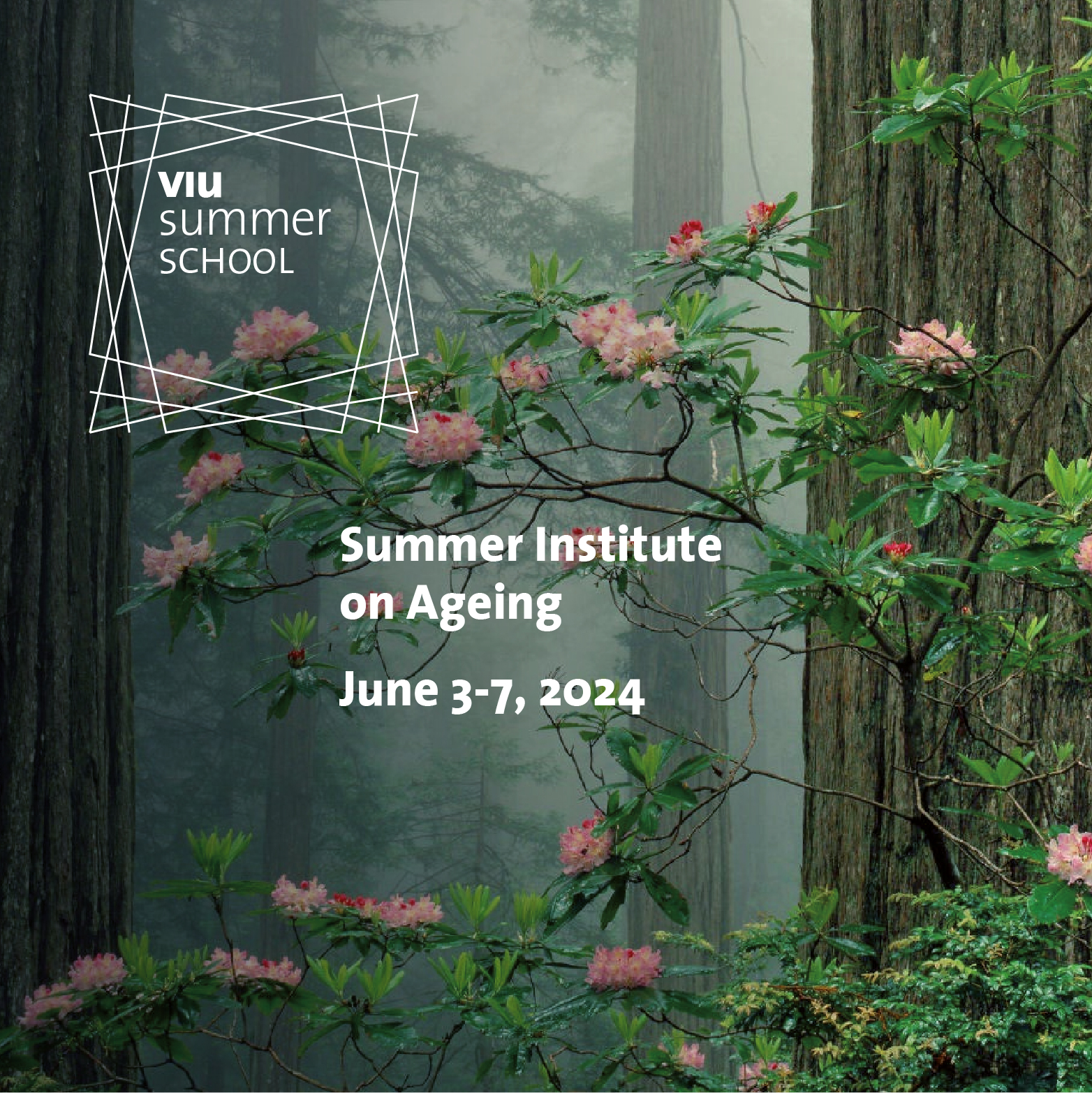 VIU Summer School | Ageing