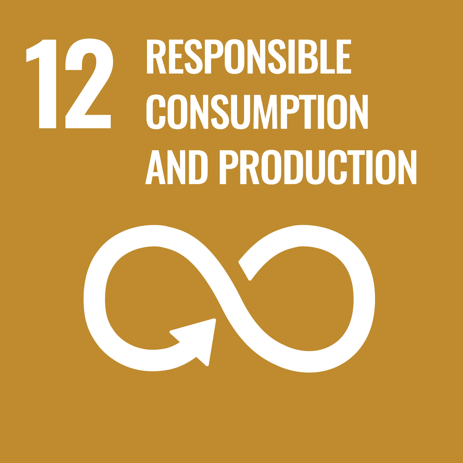 Goal 12 - Responsible Consumption and Production