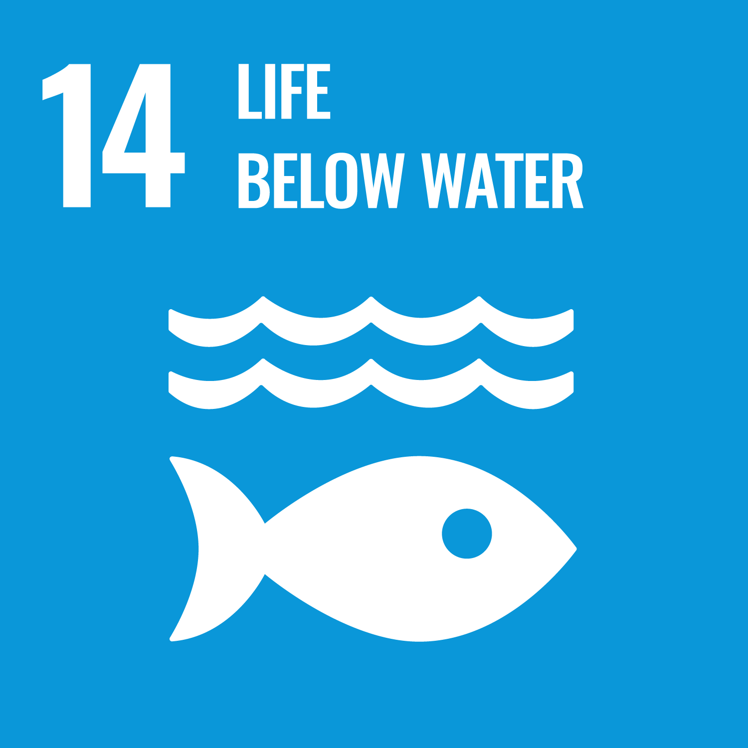 Goal 14 Life Below Water