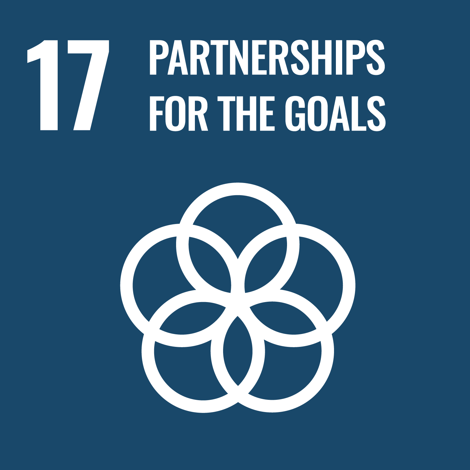 Goal 17 Partnership for the Goals