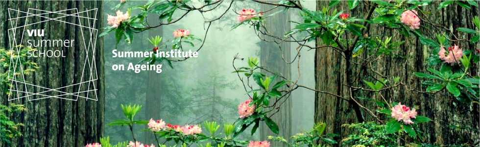 ageing banner sito senza data fra