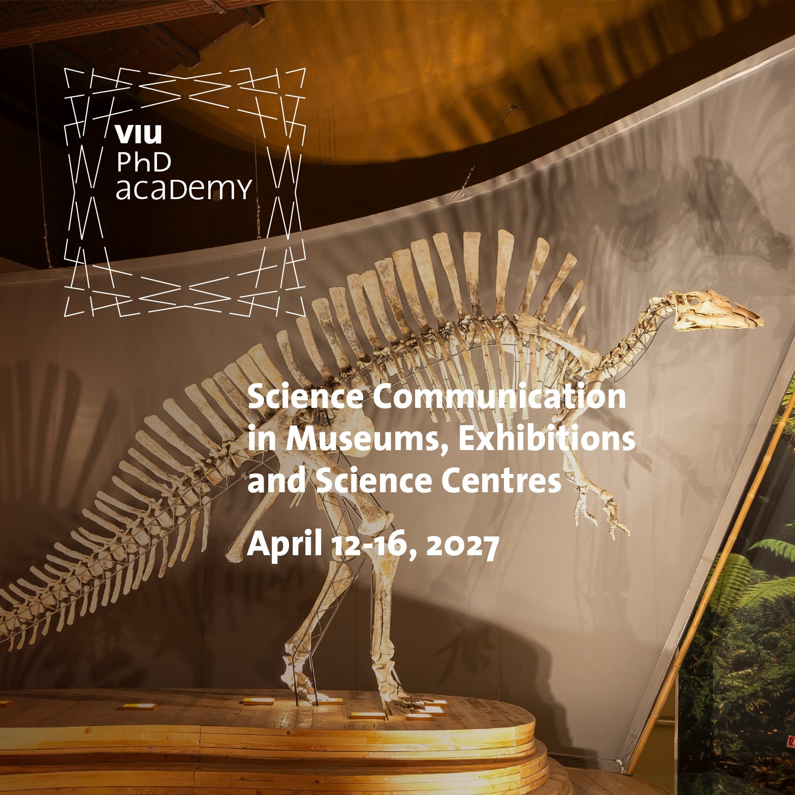 banner VIU PhD academy Energy and Society The case of fusion 2024 600